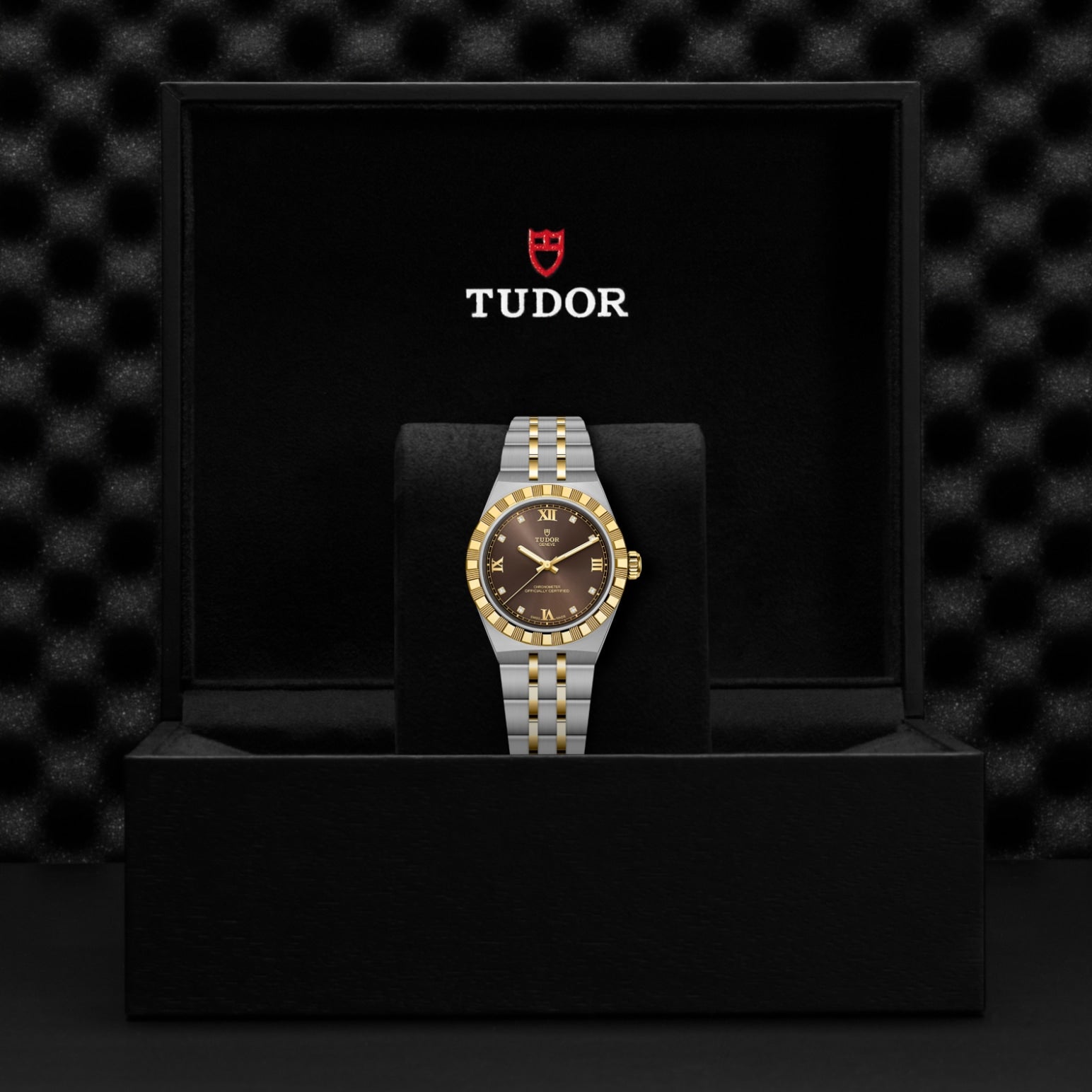 The TUDOR Royal, a two-tone gold and silver automatic wristwatch, is presented in a black TUDOR box against a dark textured backdrop—showcasing sport-chic elegance.
