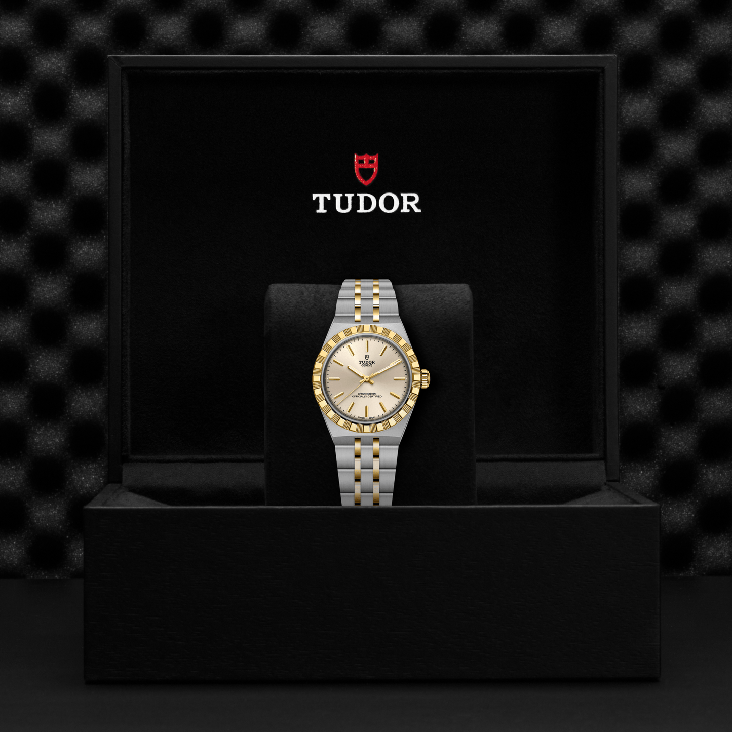 The TUDOR Royal, a two-tone stainless steel and gold wristwatch by TUDOR, is showcased upright in a black Tudor-branded watch box against a textured black background, representing the essence of automatic sport-chic watches.