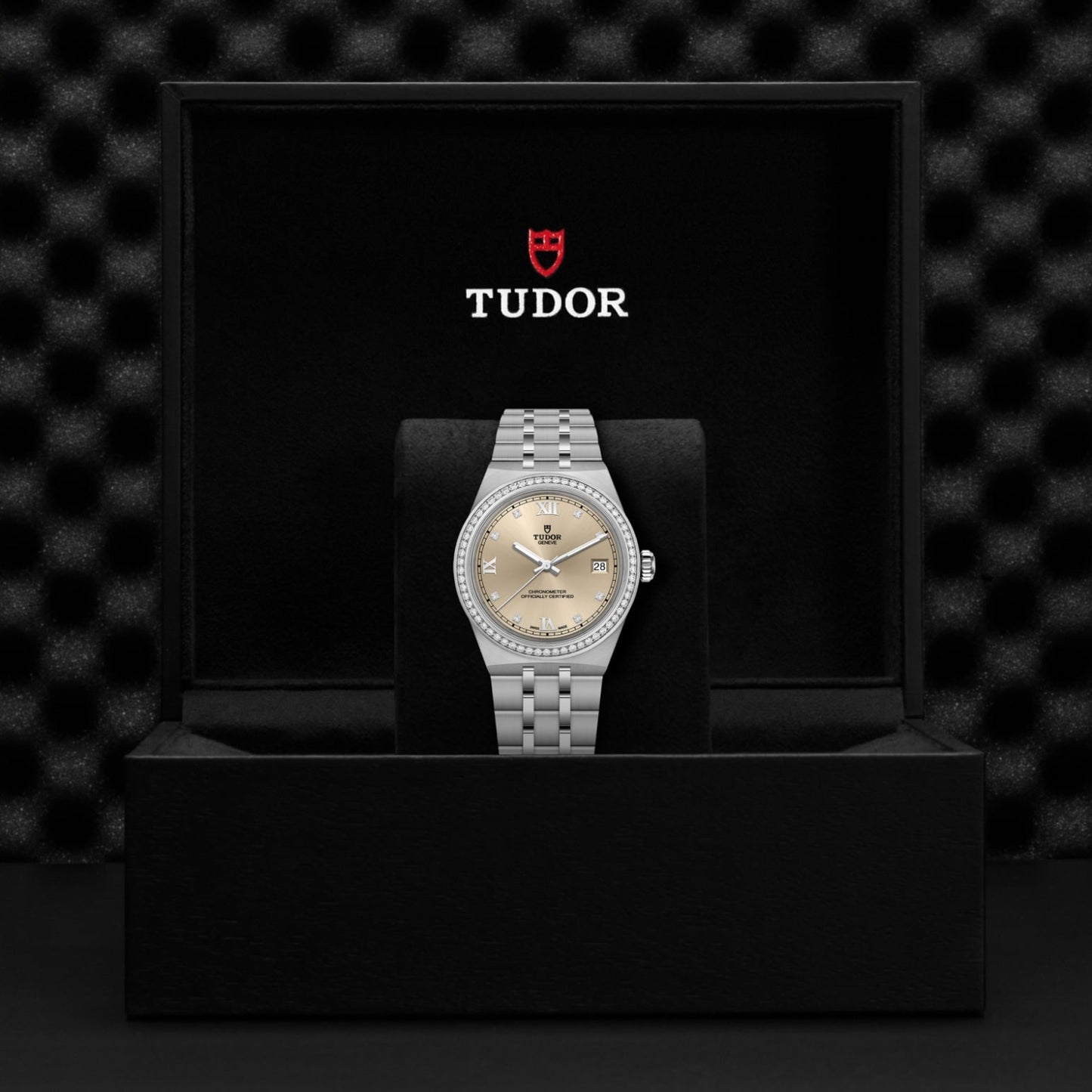 The TUDOR Royal sits upright in an open black TUDOR box with the brand logo inside the lid. Against a black textured background, this stainless steel watch with a champagne dial showcases the automatic sport-chic style of TUDOR.