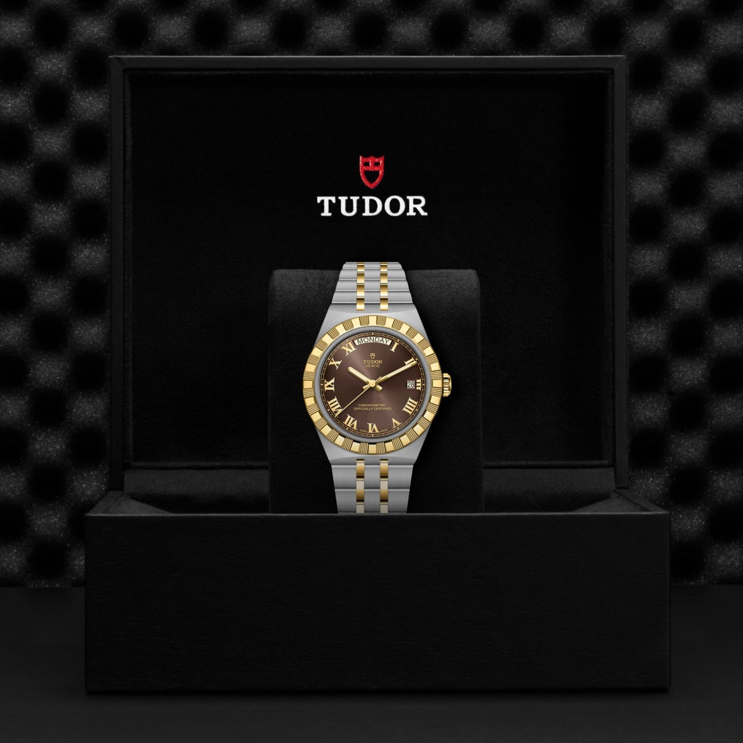 A TUDOR Royal automatic watch by TUDOR features a gold and silver metal band, a brown dial with gold Roman numerals, and is upright in a black Tudor box set against a textured black background.