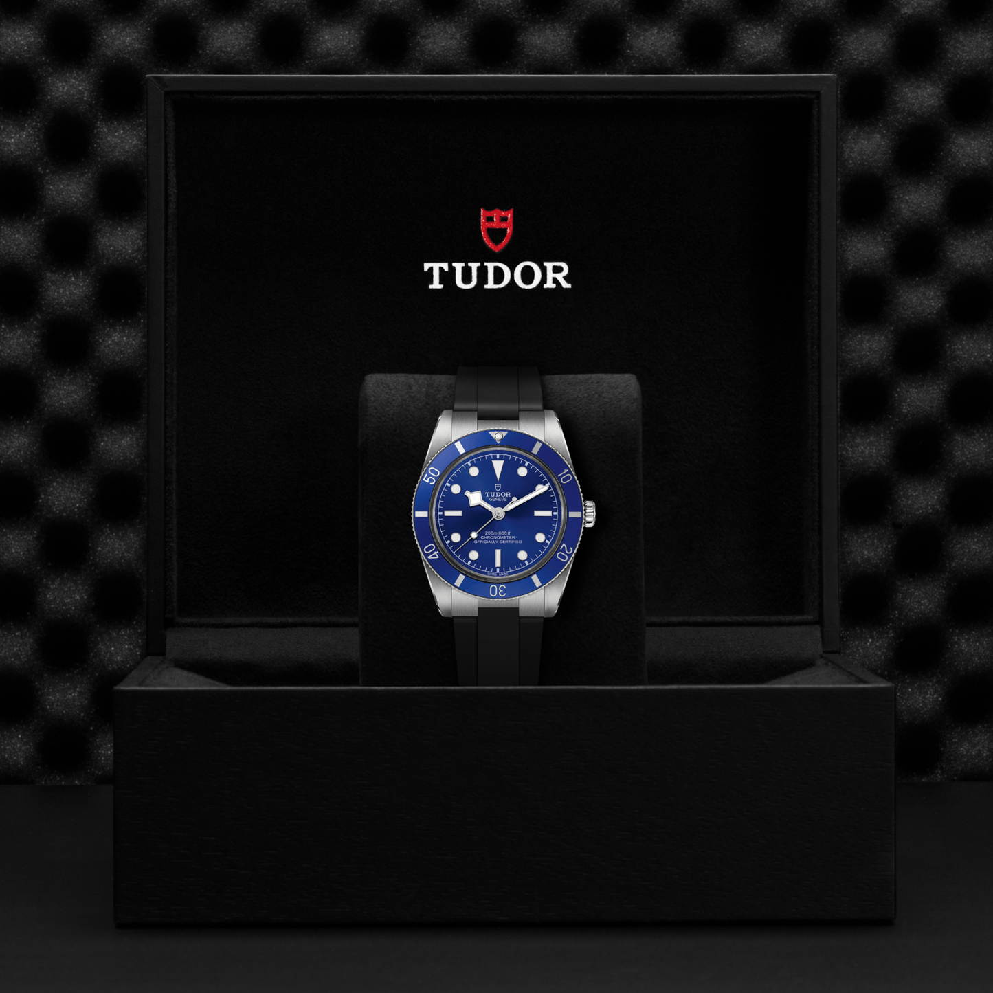 A TUDOR Black Bay 54 dive watch in Lagoon Blue with a black strap is shown upright in a black presentation box, with the white and red TUDOR logo displayed on the inside of the lid.