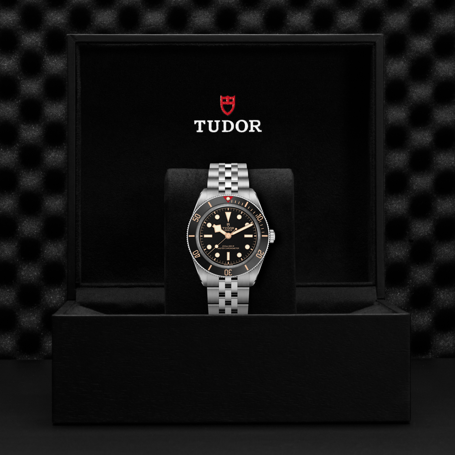 A TUDOR Black Bay 58 wristwatch, featuring a striking silver and black design, sits on a cushion in an open black TUDOR box with the brand’s logo and name displayed on the inside lid—a true statement timepiece.