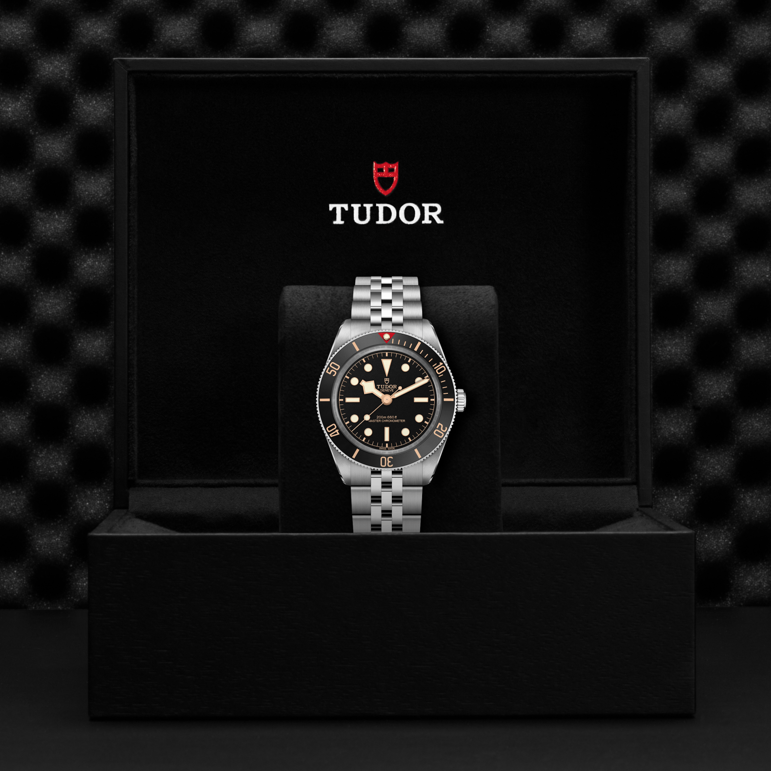 A TUDOR Black Bay 58 wristwatch, featuring a striking silver and black design, sits on a cushion in an open black TUDOR box with the brand’s logo and name displayed on the inside lid—a true statement timepiece.