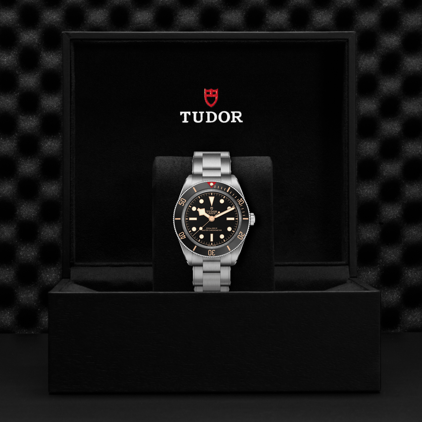 A TUDOR Black Bay 58 wristwatch with a silver band is presented upright in a black box. Its black dial with gold accents stands out, and the TUDOR logo appears on the inside of the box lid.