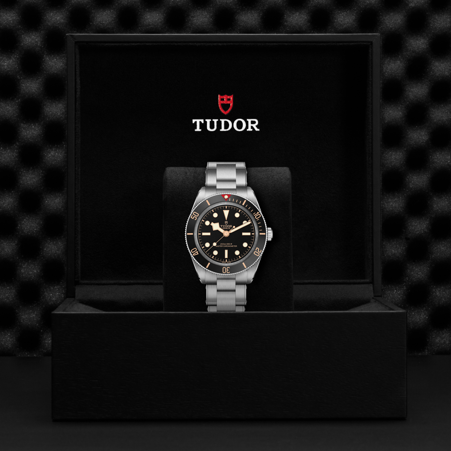 A TUDOR Black Bay 58 wristwatch with a silver band is presented upright in a black box. Its black dial with gold accents stands out, and the TUDOR logo appears on the inside of the box lid.