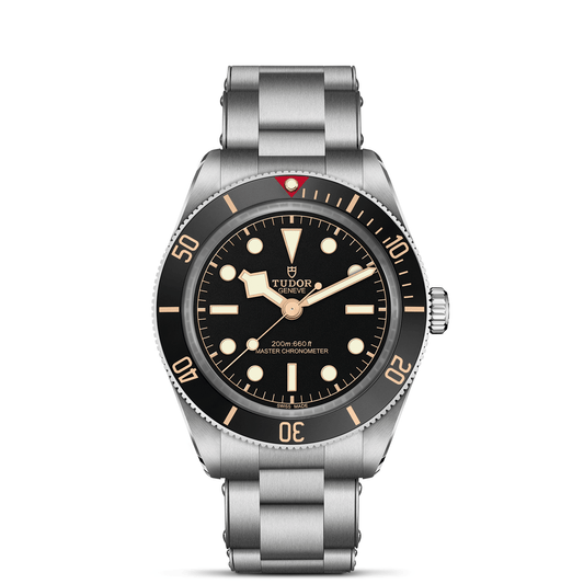 The TUDOR Black Bay 58 features a stainless steel case, black bezel with minute markers, black dial with luminous hour markers, "200m:660ft" and "Master Chronometer" on the dial, and a silver bracelet—an iconic dive watch by TUDOR.
