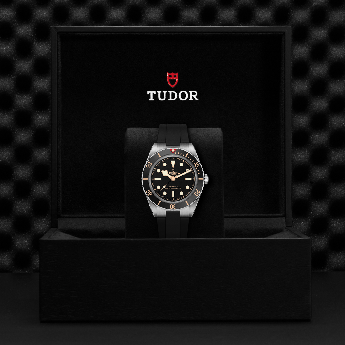 A TUDOR Black Bay 58 wristwatch with a black dial and strap is showcased upright in an open, black TUDOR-branded box against a textured dark background—a striking timepiece from TUDOR.