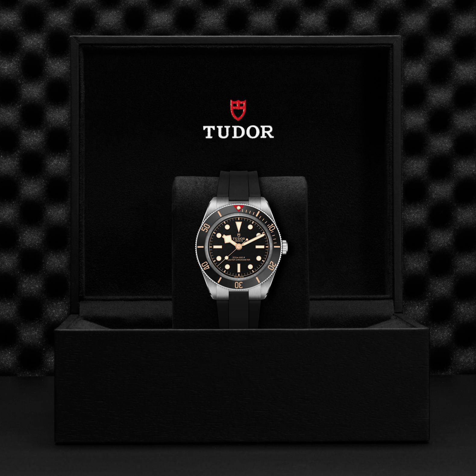 A TUDOR Black Bay 58 wristwatch with a black dial and strap is showcased upright in an open, black TUDOR-branded box against a textured dark background—a striking timepiece from TUDOR.